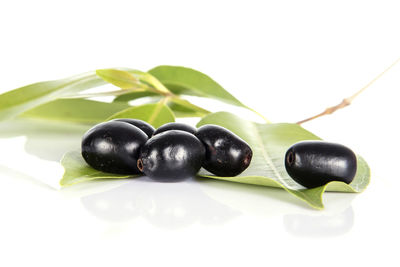 Close-up of blueberries against white background