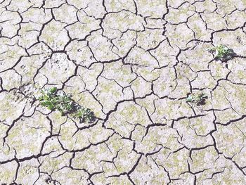Full frame shot of cracked land