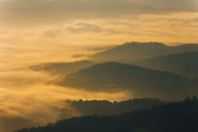 Silhouette trees against dramatic sky during sunset