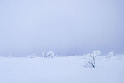 Snow on field against clear sky