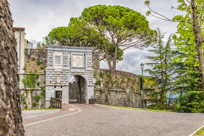 Road amidst trees and buildings against sky