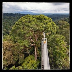 Scenic view of forest against cloudy sky