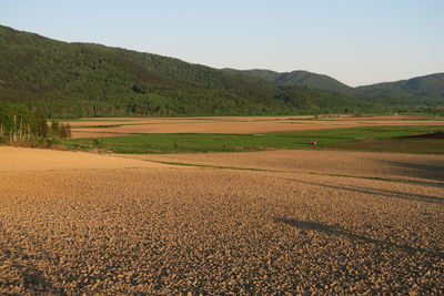 Scenic view of field against sky