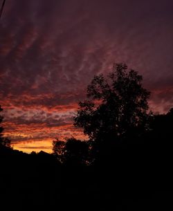 Low angle view of silhouette trees against dramatic sky