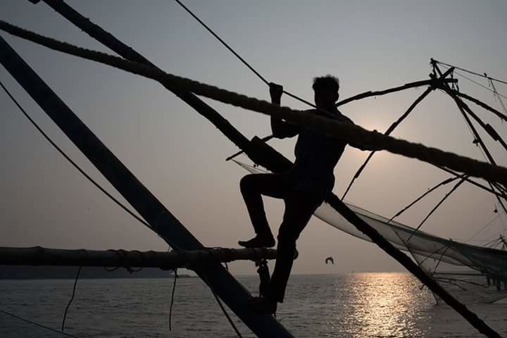 SILHOUETTE OF MAN ON SWING