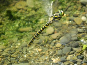 Close up of water