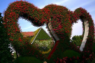 Low angle view of plants in park against sky