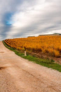 Dirt road amidst field against sky