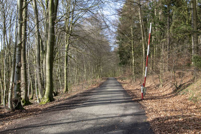 Footpath amidst trees in forest