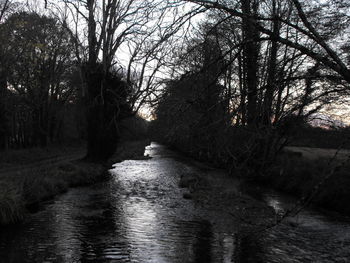 View of canal along trees