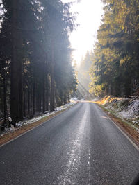 Empty road along trees