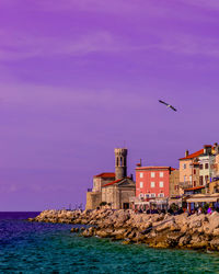 Birds flying over sea against buildings in city