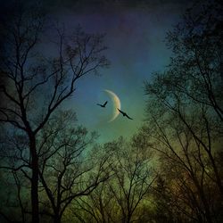 Low angle view of silhouette birds flying against sky