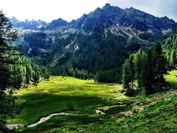 Scenic view of mountains