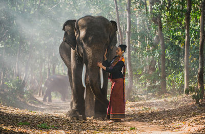 Full length of smiling woman standing with elephant in forest