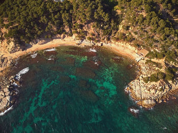 High angle view of sea and trees