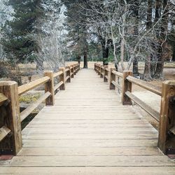 Empty wooden footbridge along trees