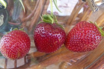 Close-up of strawberries on glass table