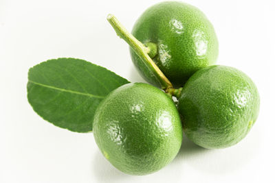 Close-up of fresh green fruit against white background