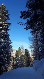 Scenic view of snow covered landscape