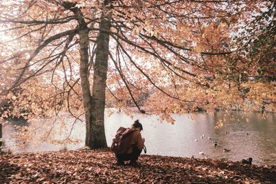 Rear view of woman sitting in park during autumn