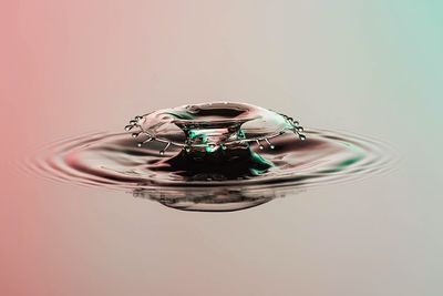 Reflection of trees in water