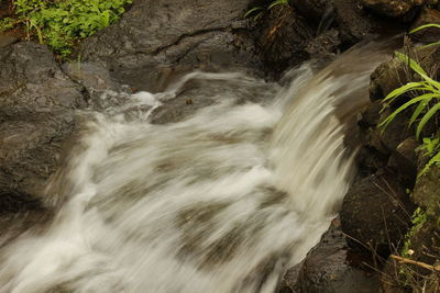 Scenic view of waterfall in forest