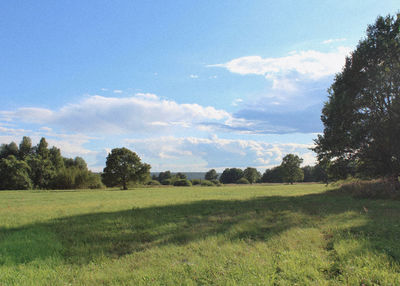 Scenic view of field against sky