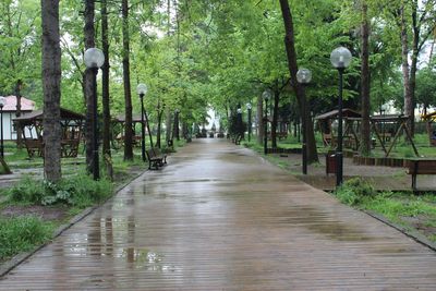 Narrow walkway along plants in park