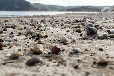 Surface level shot of stones at beach