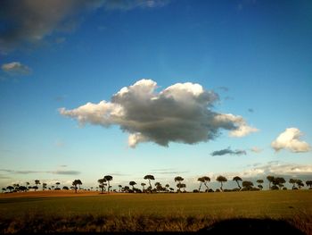 Scenic view of field against blue sky