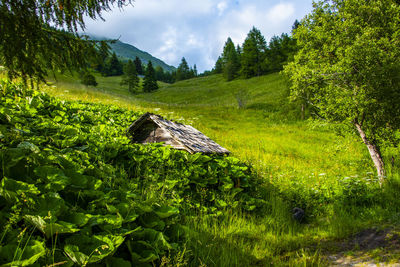 Scenic view of landscape against sky