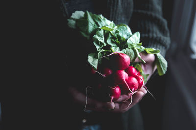 Midsection of person holding radishes at home