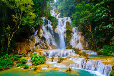 Scenic view of waterfall in forest