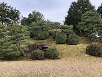 View of trees in garden against sky