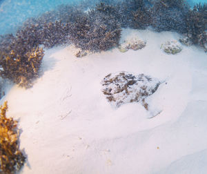 High angle view of snow