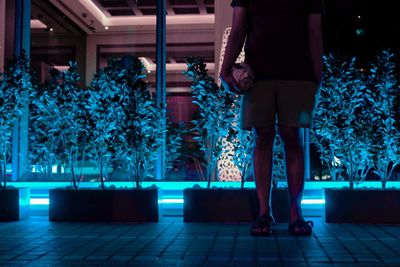 Low section of man standing by illuminated tree at night