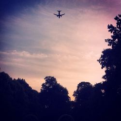 Low angle view of airplane flying in sky