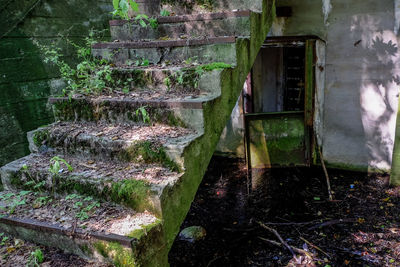 Close-up of abandoned window