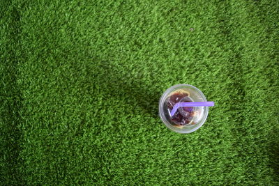 High angle view of bubble ball on grass