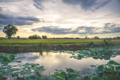 Scenic view of lake against sky