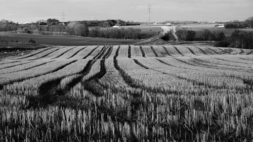 Scenic view of field against sky