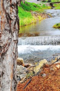 Scenic view of landscape