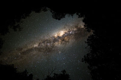 Low angle view of stars in sky