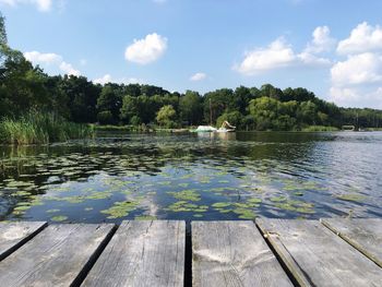 Reflection of trees in lake