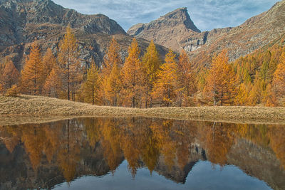 Scenic view of lake by mountains during autumn