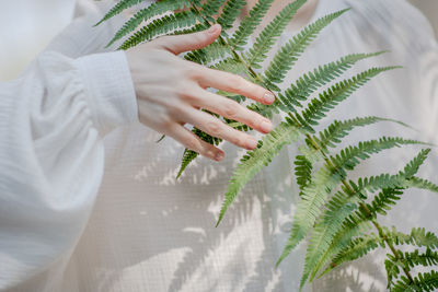 Close-up of woman hand holding plant