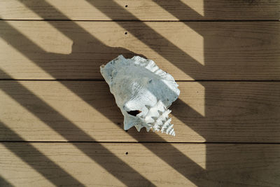 High angle view of a cat on wooden floor