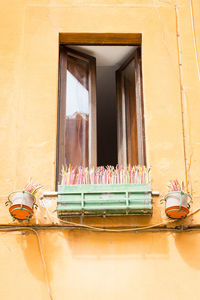 Low angle view of potted plants on window sill of building