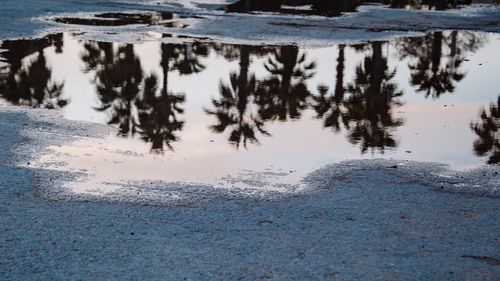 Reflection of trees in lake during winter